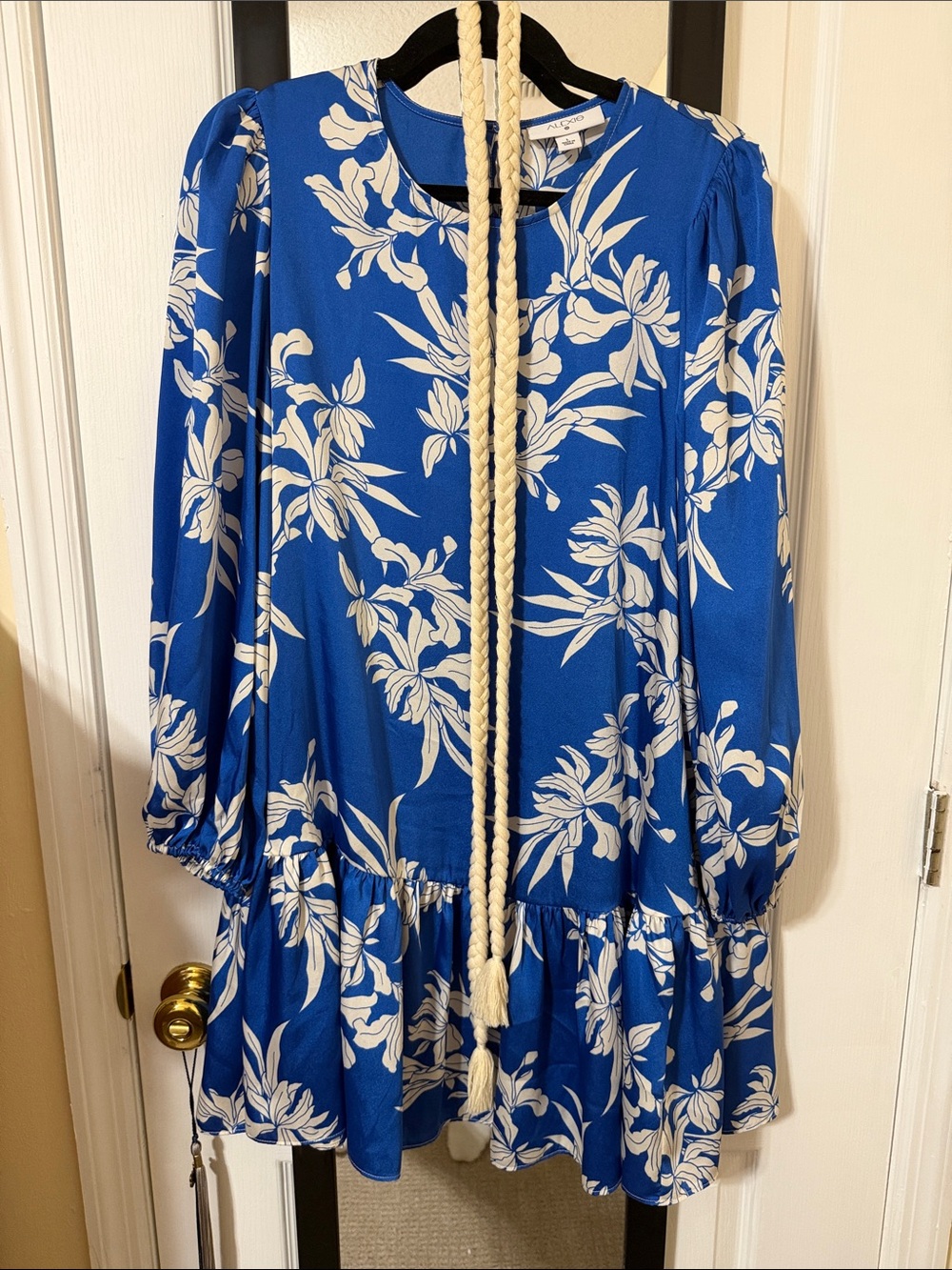 Alexis Blue and White Floral Long-Sleeve Mini Dress